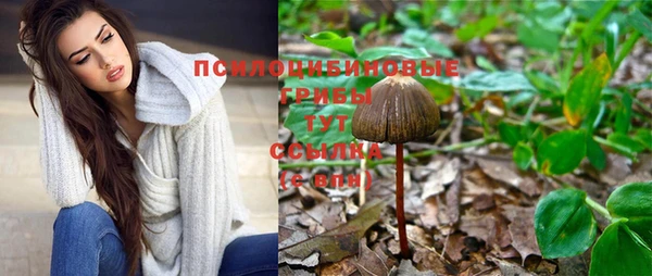спиды Баксан
