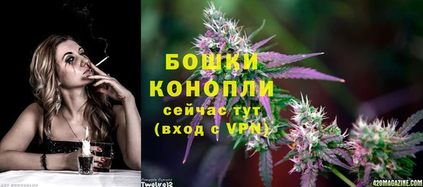 сатива Балабаново
