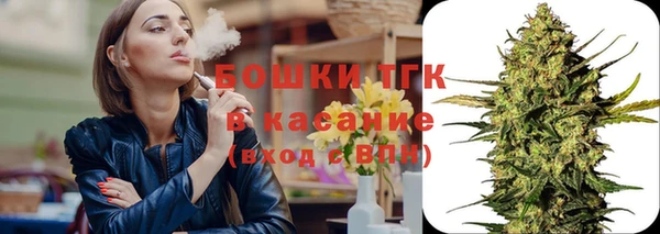 прущий лед Пересвет